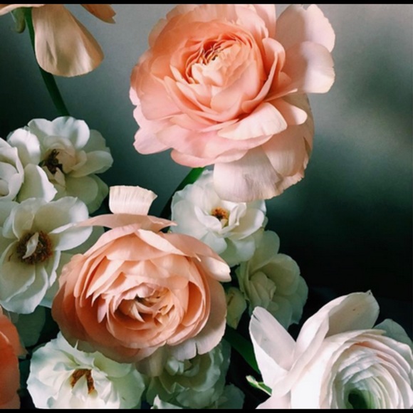 Meet your Posher, Lauren - Picture 1 of 1